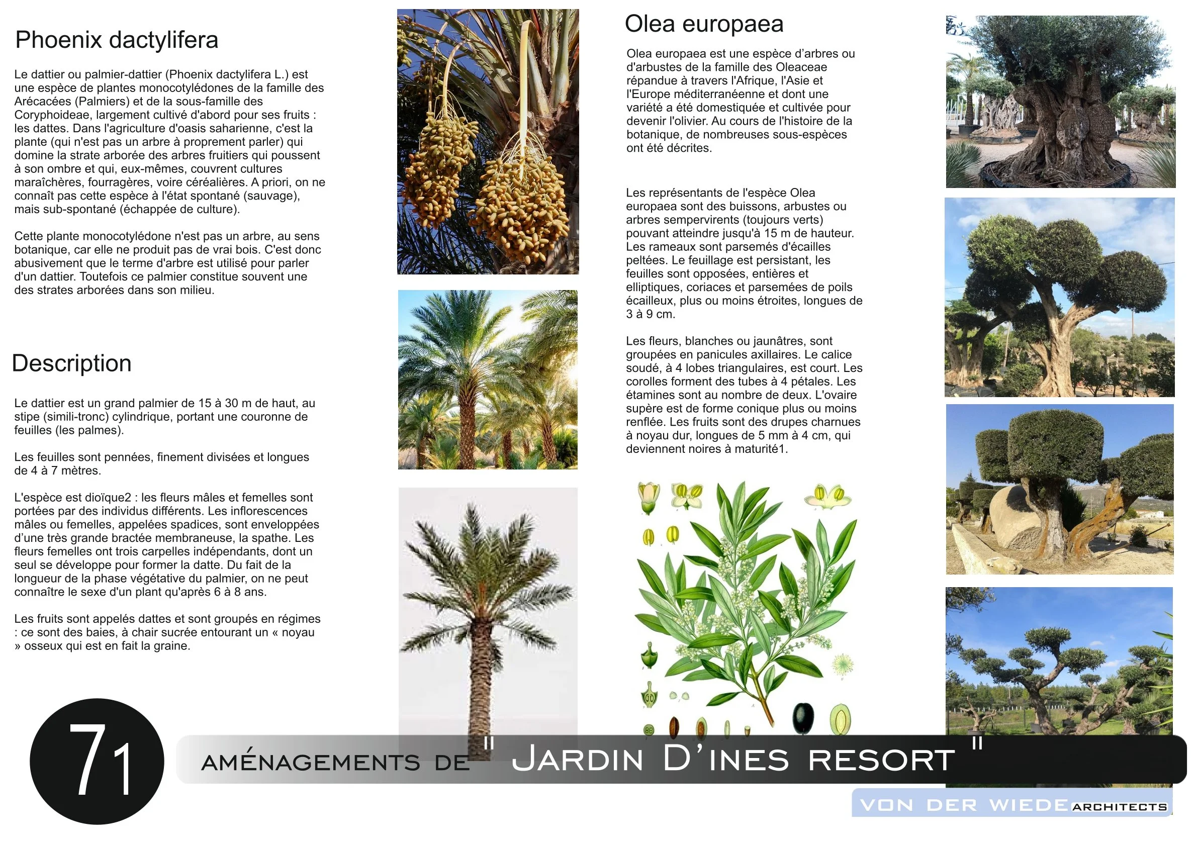 Page 72 du projet  Jardin d ines