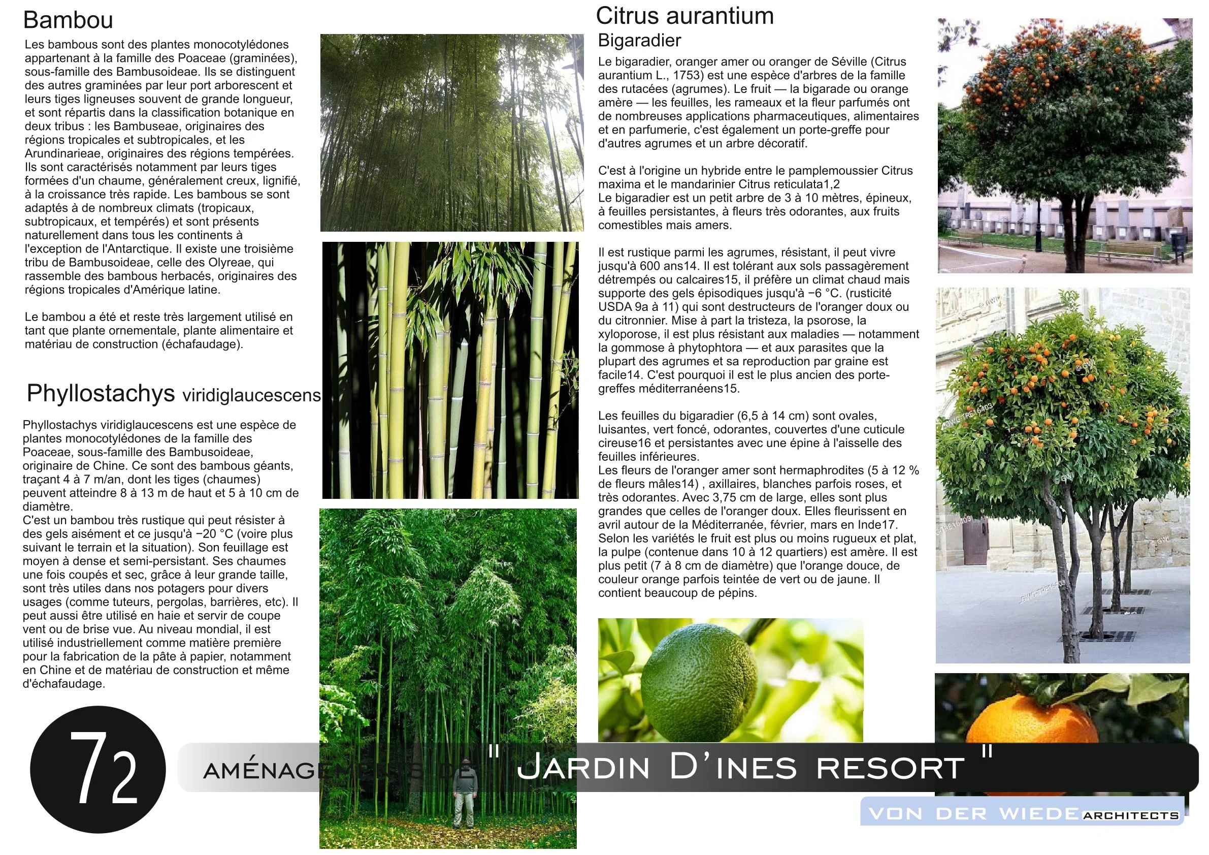 Page 73 du projet  Jardin d ines