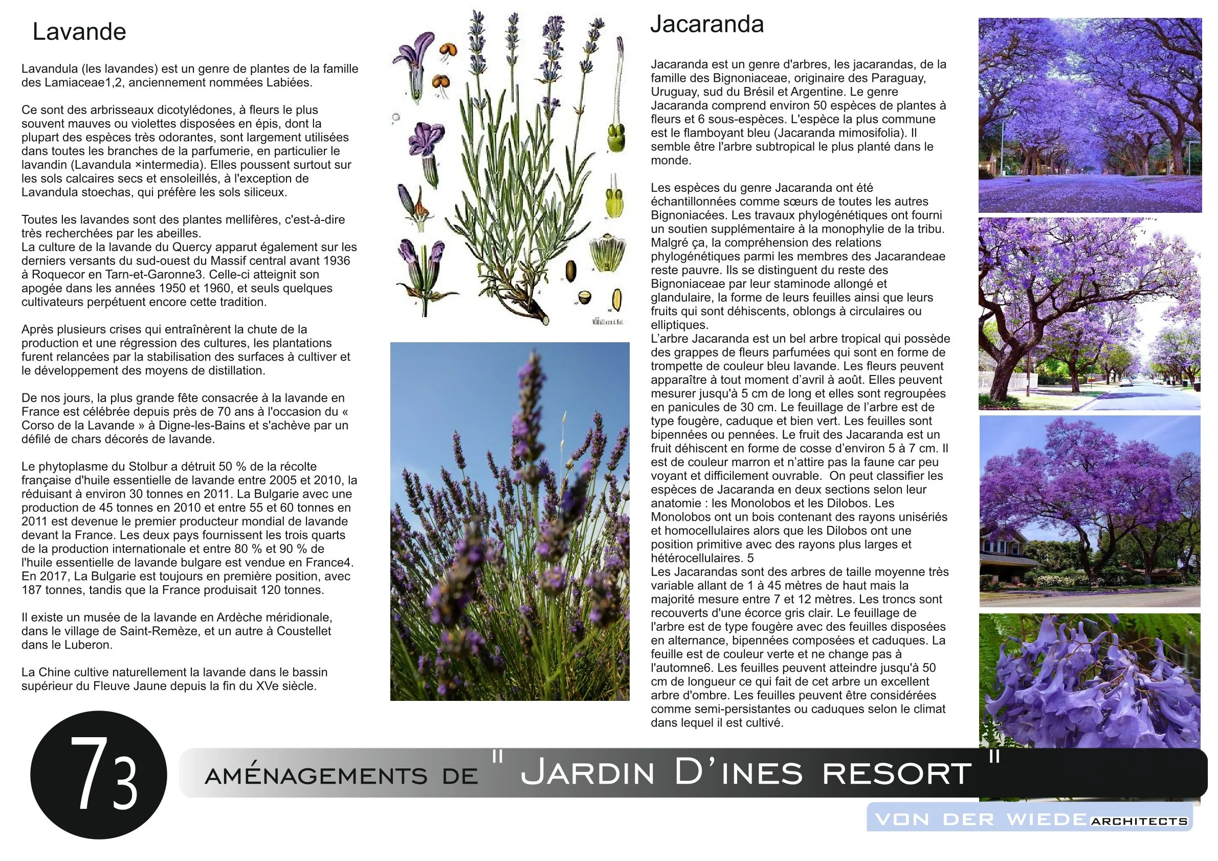Page 74 du projet  Jardin d ines
