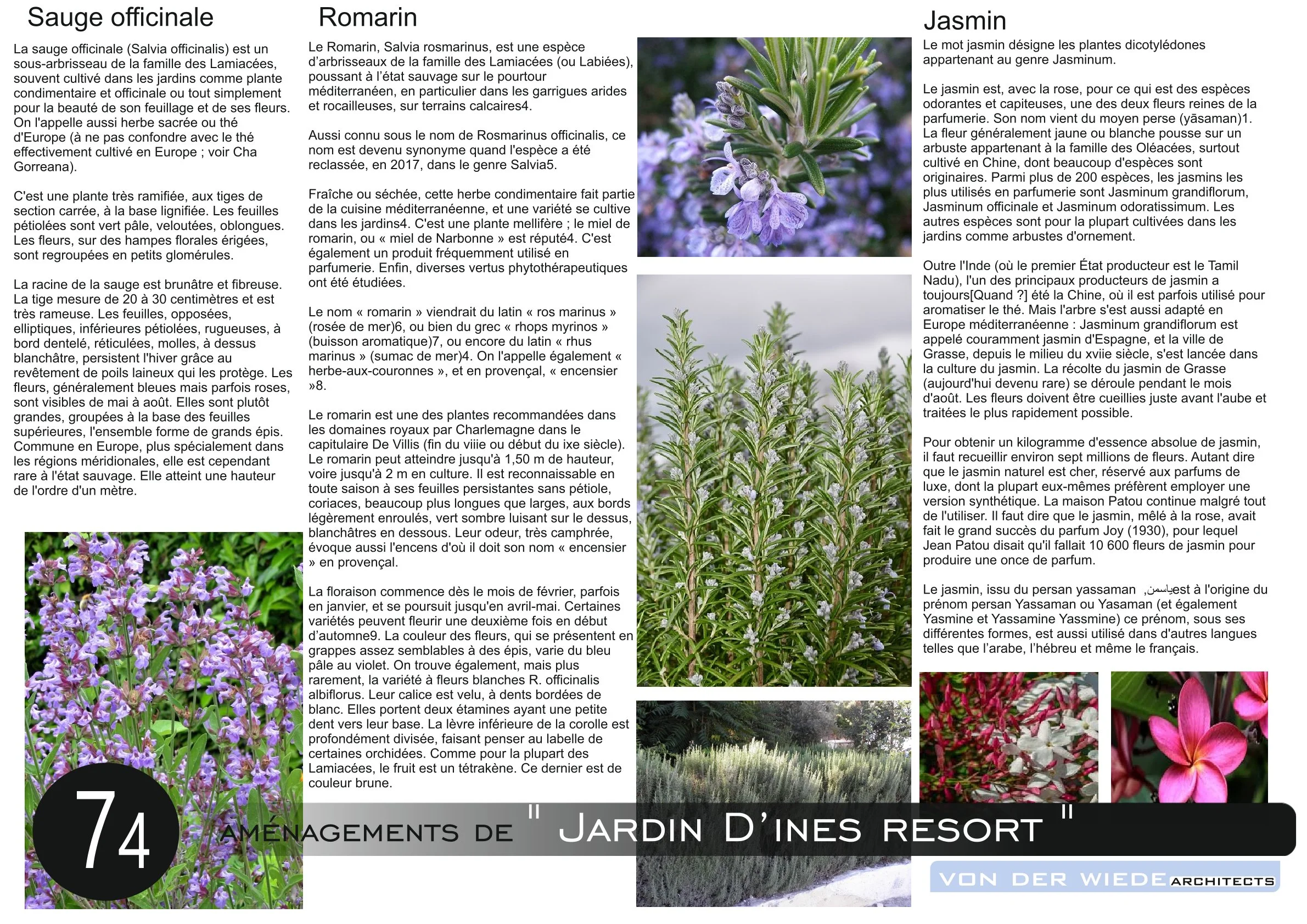 Page 75 du projet  Jardin d ines